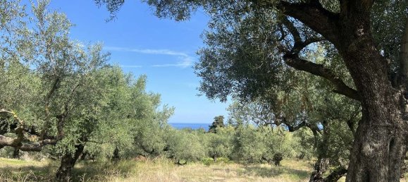 Grundstück in Zakynthos, Greece, Nr. 8591 14