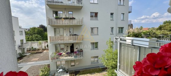 1 غرف نوم شقة في Neukolln, Germany رقم 318771 7