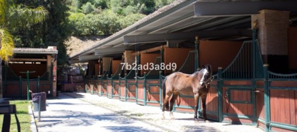 5 Schlafzimmer Villa in Malaga, Spain, Nr. 102950 43