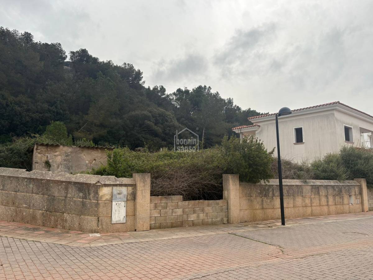  Land in Ferreries, Spain No. 294209