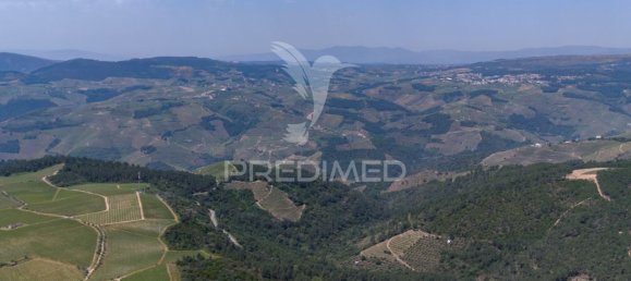 5 bedrooms House in Favaios, Portugal No. 185562 15