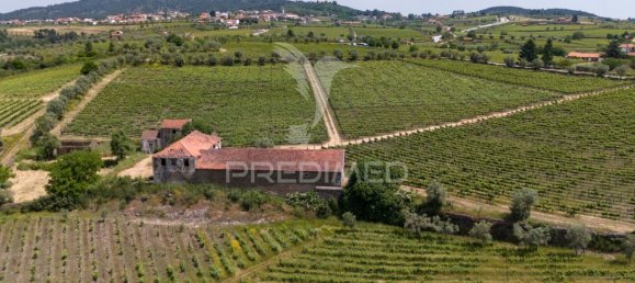 5 bedrooms House in Favaios, Portugal No. 185562 16