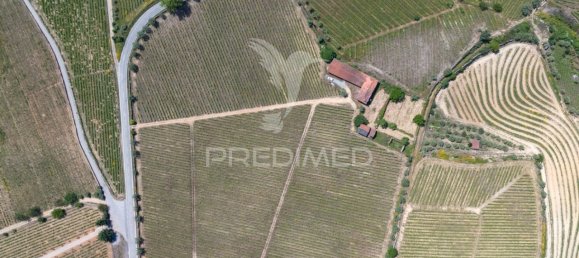 5 bedrooms House in Favaios, Portugal No. 185562 20