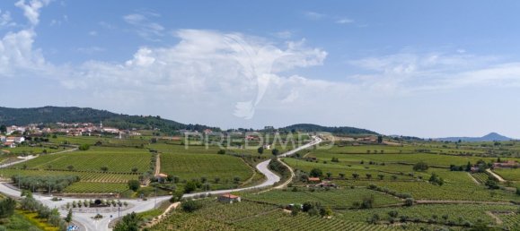 5 bedrooms House in Favaios, Portugal No. 185562 23