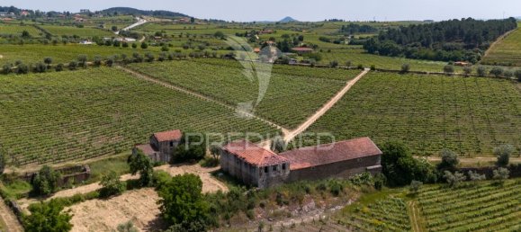 5 bedrooms House in Favaios, Portugal No. 185562 12