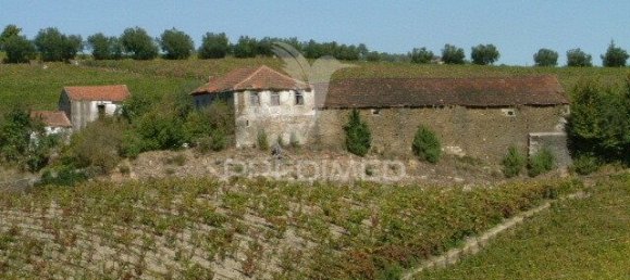 5 bedrooms House in Favaios, Portugal No. 185562 10