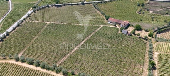 5 bedrooms House in Favaios, Portugal No. 185562 14