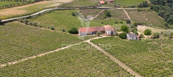 5 bedrooms House in Favaios, Portugal No. 185562 21