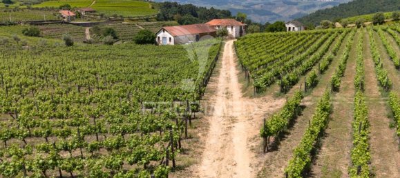 5 bedrooms House in Favaios, Portugal No. 185562 19