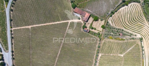 5 bedrooms House in Favaios, Portugal No. 185562 13