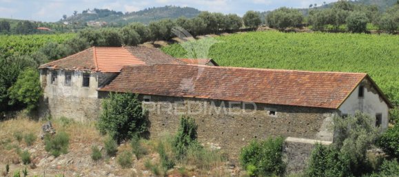 5 bedrooms House in Favaios, Portugal No. 185562 9