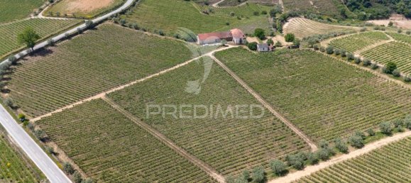 5 bedrooms House in Favaios, Portugal No. 185562 25