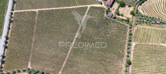 5 bedrooms House in Favaios, Portugal No. 185562 18