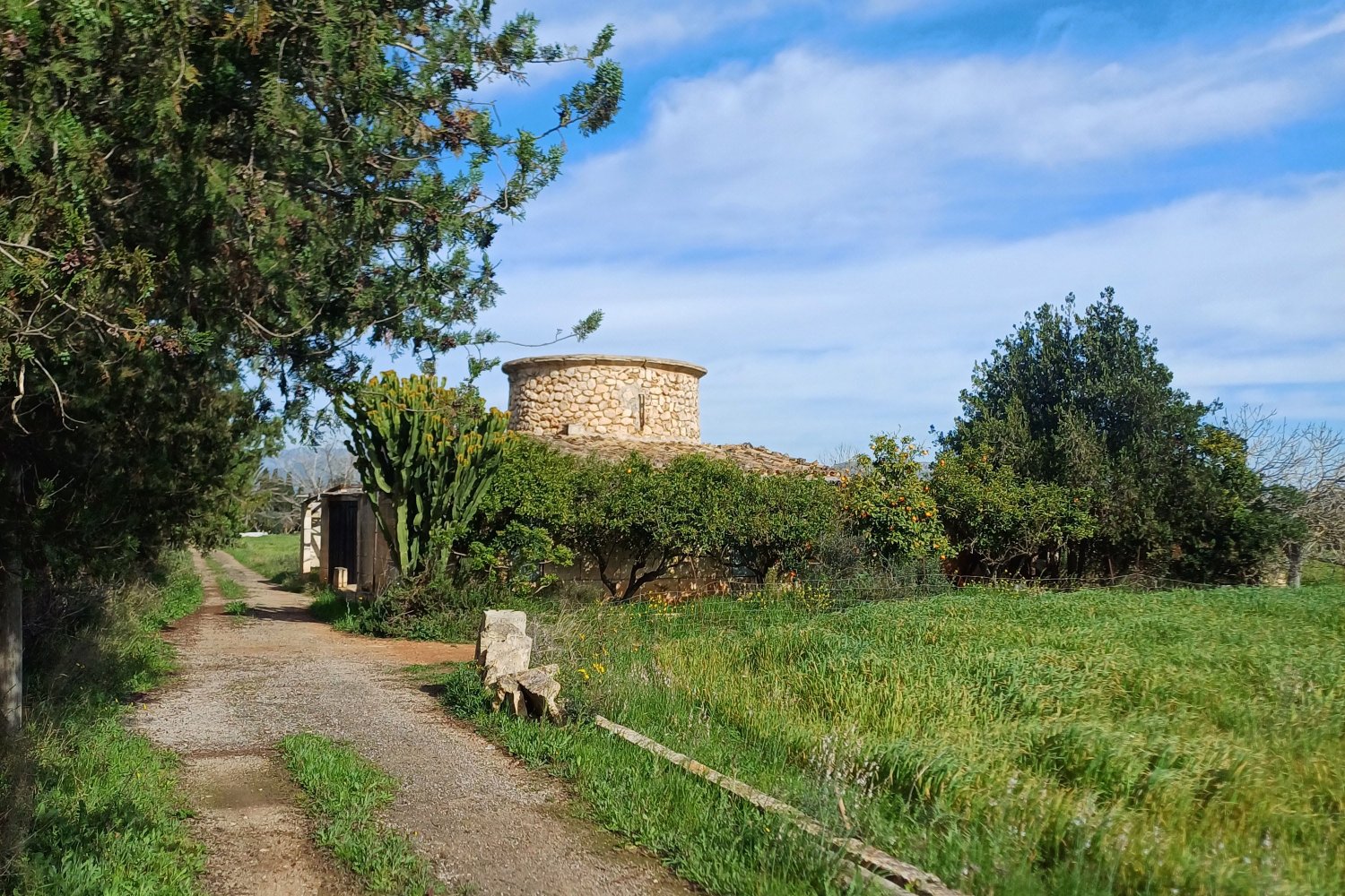  Land in Muro, Spain No. 76215