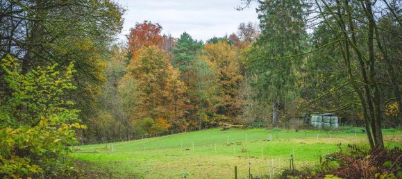 5-Zimmer Villa in Aachen, Germany, Nr. 84941 11