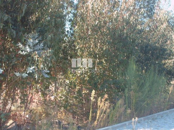 Terreno en Viana do Castelo, Portugal 840 m² No. 89029