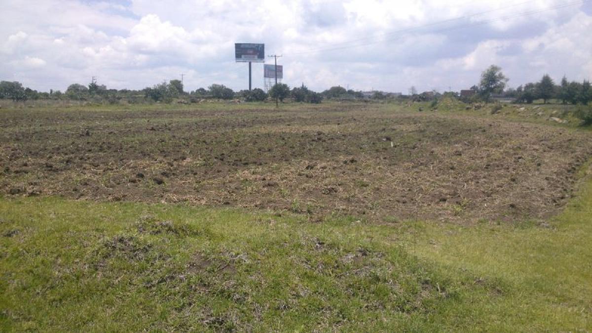 Terrain à San Francisco Soyaniquilpan, Mexico No. 202775