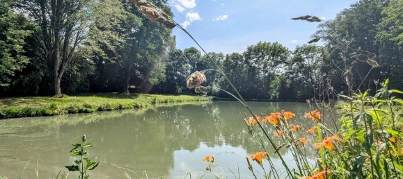 Замки и поместья с 3 спальнями в Савиньи-ан-Сансерр, Франция № 152054 3