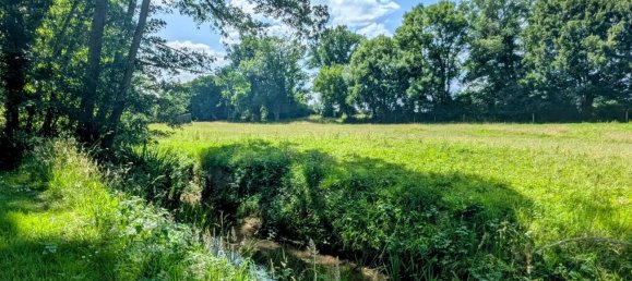 Замки и поместья с 3 спальнями в Савиньи-ан-Сансерр, Франция № 152054 18