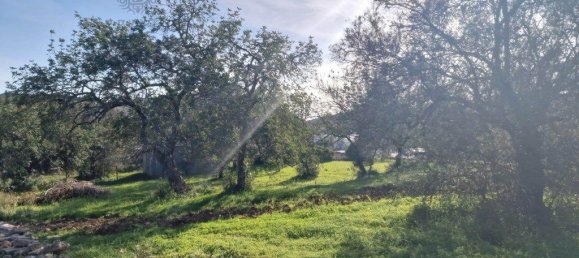 Grundstück in Sao Bras de Alportel, Portugal 2400m², Nr. 208562 4