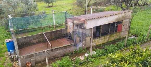 Дом с 4 спальнями в Алваязери, Португалия № 19152 42