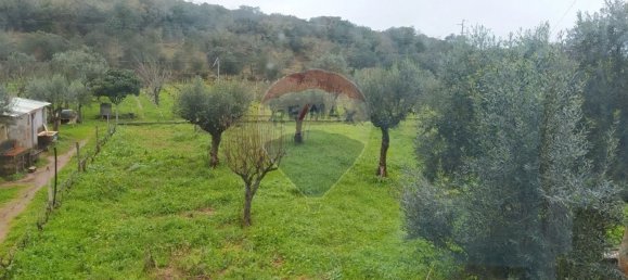 Дом с 4 спальнями в Алваязери, Португалия № 19152 15