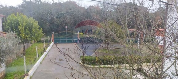 Дом с 4 спальнями в Алваязери, Португалия № 19152 13