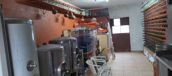 Дом с 4 спальнями в Алваязери, Португалия № 19152 24