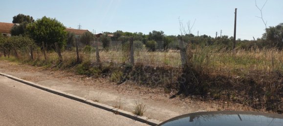 30000m² Land in Benavente, Portugal No. 134774 5