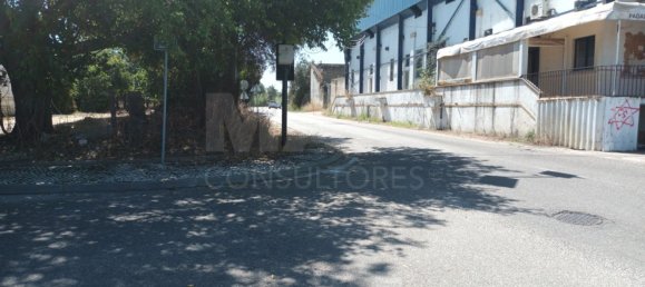 30000m² Land in Benavente, Portugal No. 134774 3