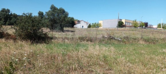 30000m² Land in Benavente, Portugal No. 134774 2