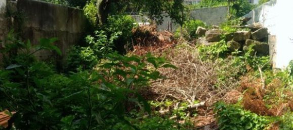 6 غرف نوم منزل في Porto, Portugal رقم 135190 5