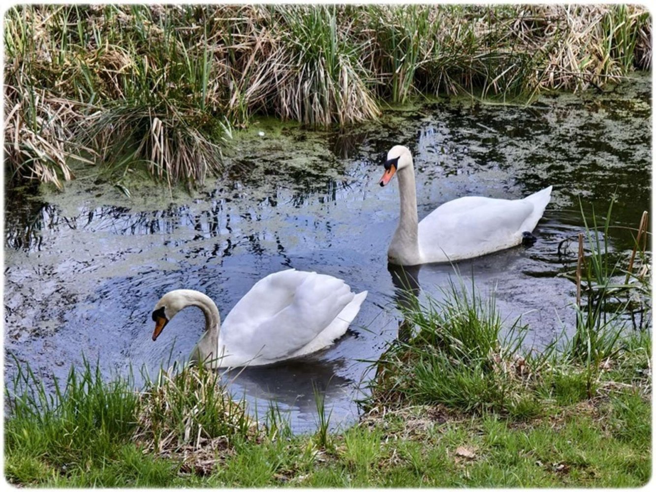 Casa de 1 dormitorio en Celle, Germany No. 161300