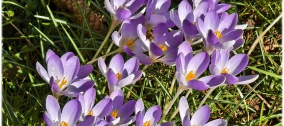 Casa de 1 dormitorio en Celle, Germany No. 161300 18