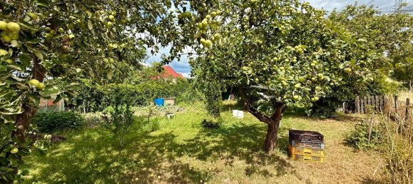 Grundstück in Barnim, Germany, Nr. 364050 2