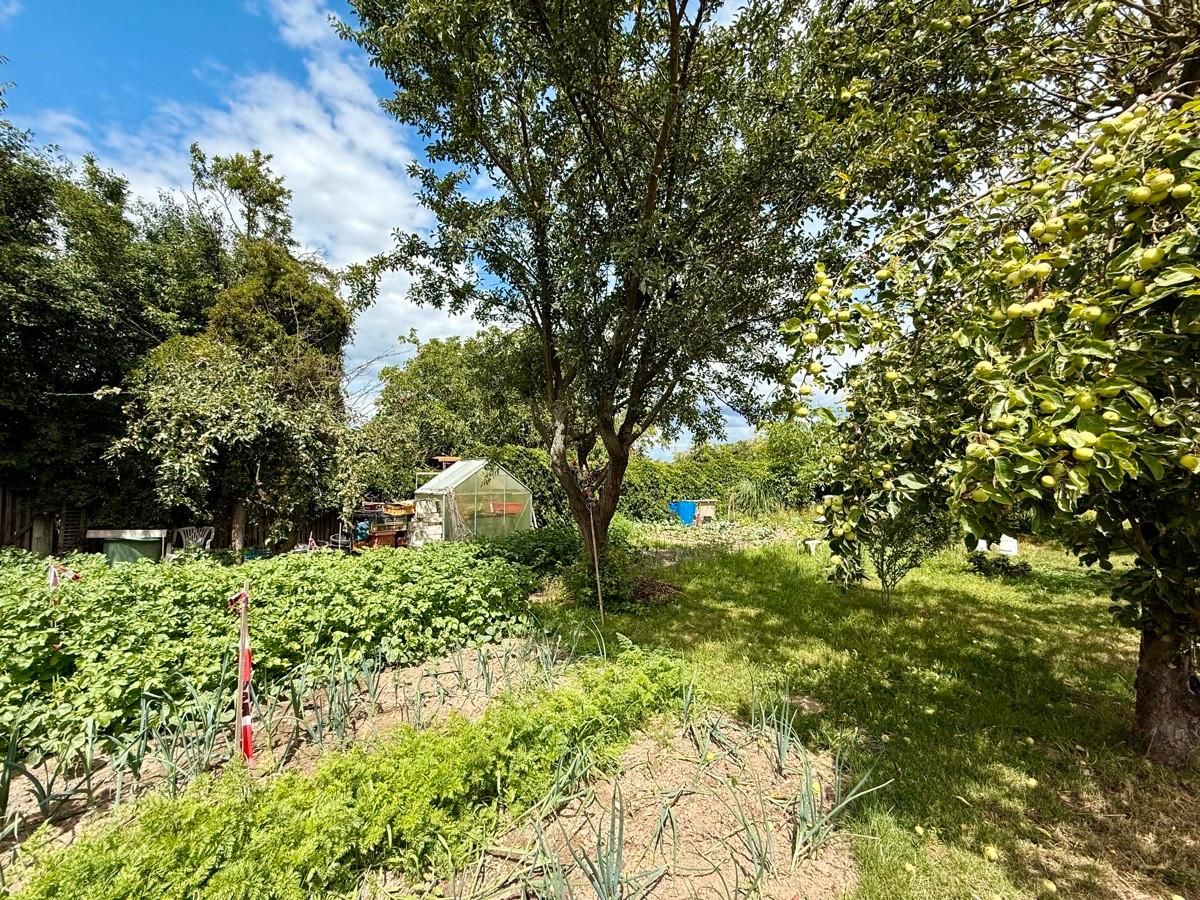 Grundstück in Barnim, Germany, Nr. 364050