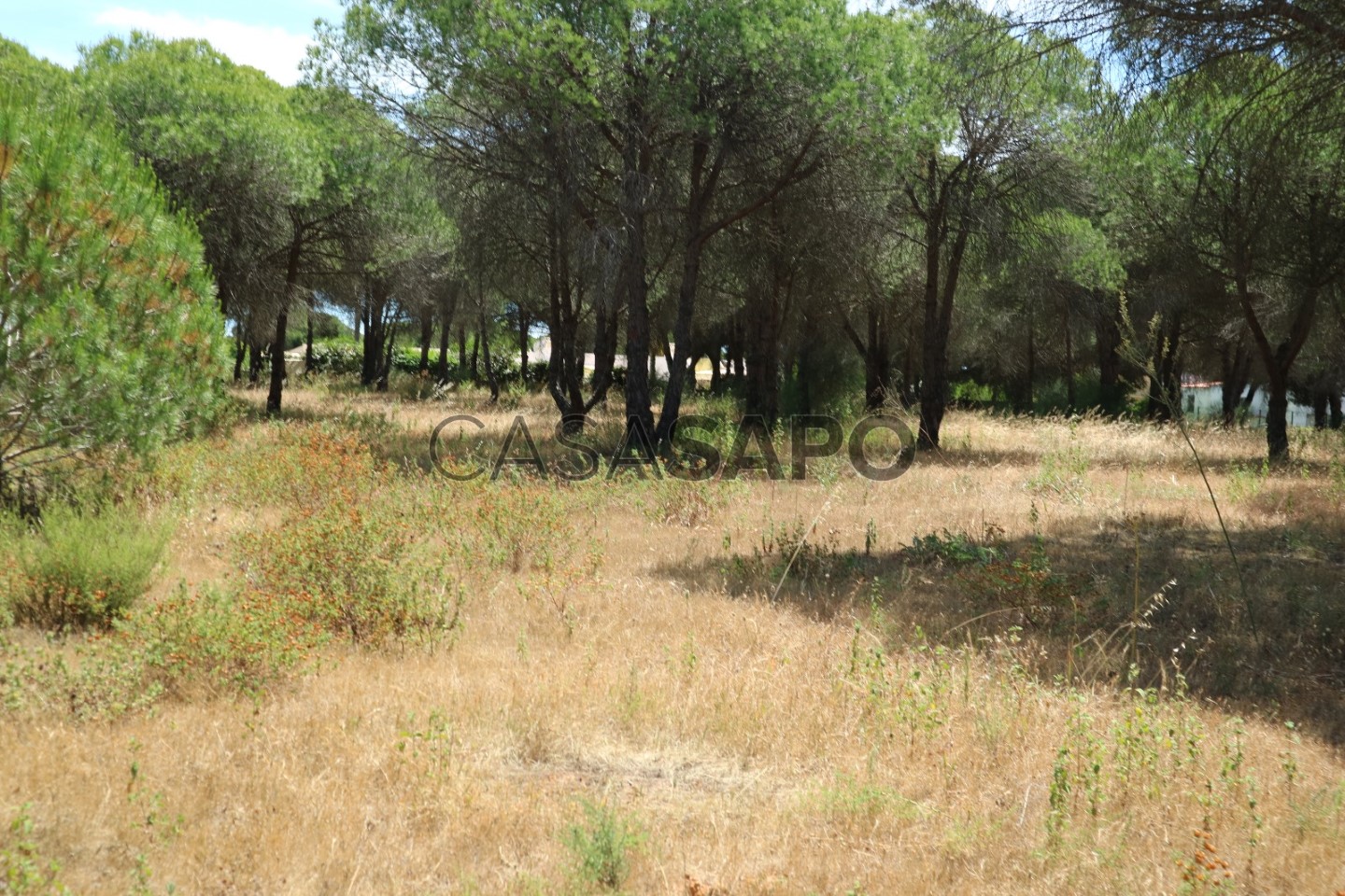 Terrain à Almancil, Portugal No. 211817