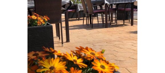 Propriété commerciale à Guardamar del Segura, Spain 320m² No. 137704 20