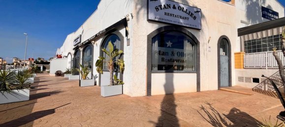 Propriété commerciale à Guardamar del Segura, Spain 320m² No. 137704 16