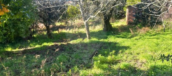 1200m² Land in Macas de Dona Maria, Portugal No. 90334 6