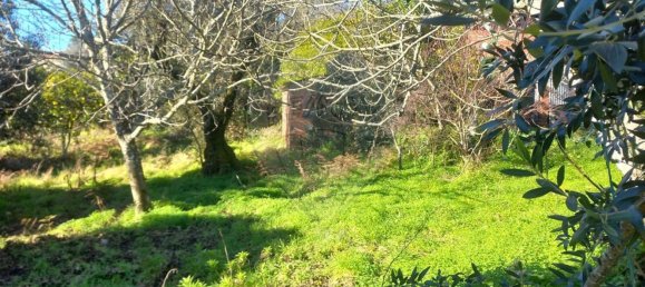 1200m² Land in Macas de Dona Maria, Portugal No. 90334 7