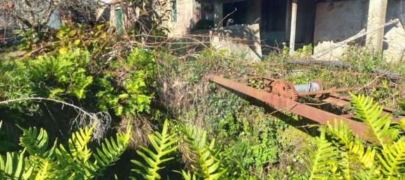 1200m² Land in Macas de Dona Maria, Portugal No. 90334 4