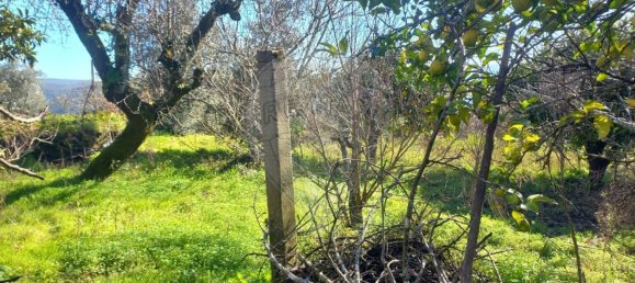 1200m² Land in Macas de Dona Maria, Portugal No. 90334 19