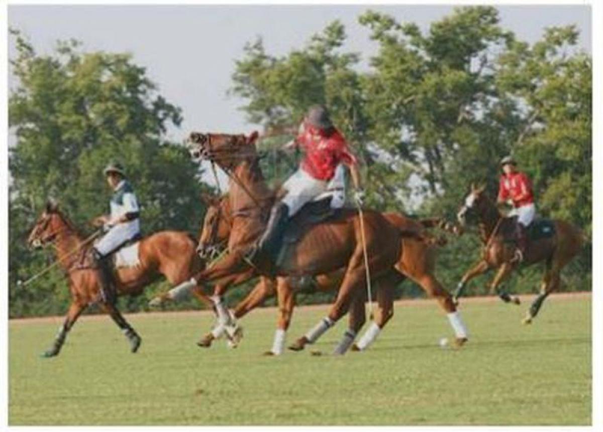  Land in Lujan, Argentina No. 33038