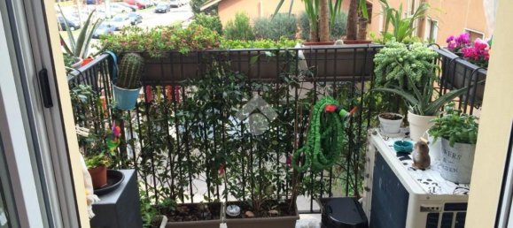 2-Zimmer Wohnung in Paderno Dugnano, Italy, Nr. 190410 10