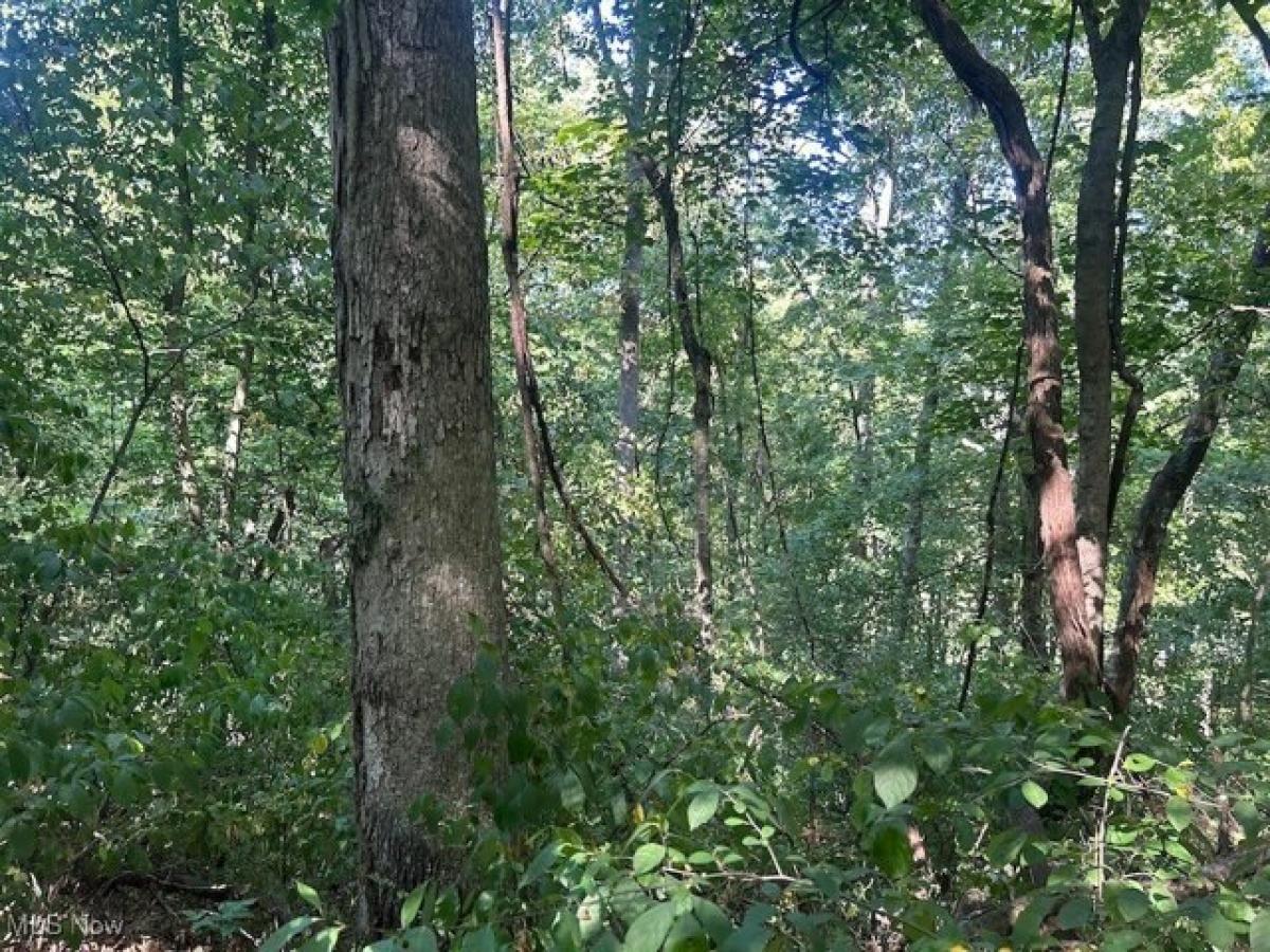  Land in Dexter City, USA No. 487973