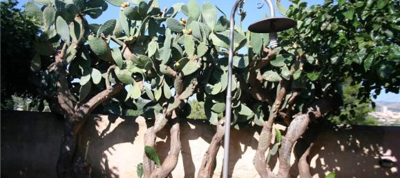 Villa de 7 habitaciónes en Noto, Italy No. 139234 8