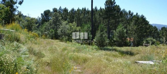 10300m² Land in Marco de Canaveses, Portugal No. 59606 10