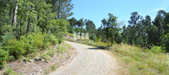 10300m² Land in Marco de Canaveses, Portugal No. 59606 21