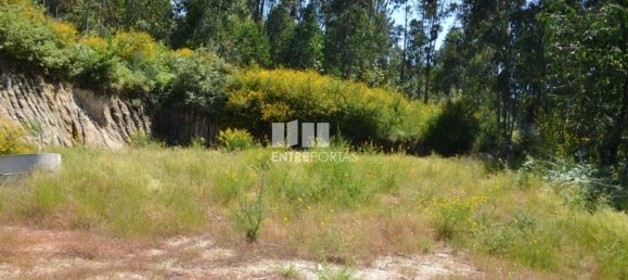 10300m² Land in Marco de Canaveses, Portugal No. 59606 7
